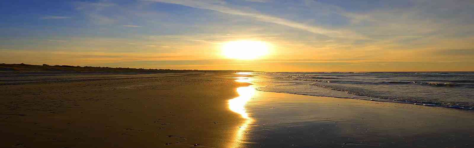 41660全球赢家的信心